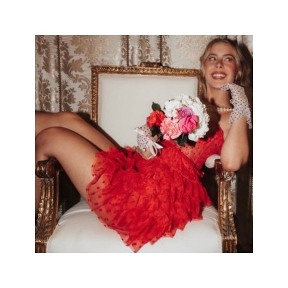 NWT FOR LOVE AND LEMONS Jules Corset Ruffle Tulle Mini Dress Pink Small - Picture 11 of 16